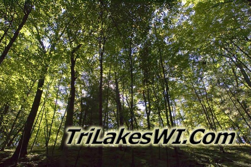 TriLakes Area Pictures