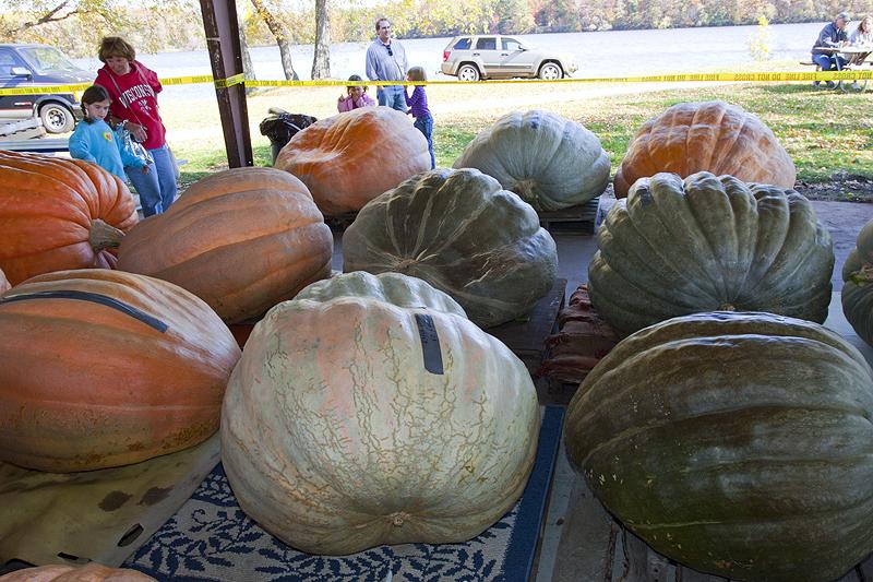 Nekoosa WI Multi-Family Housing for Sale 54457